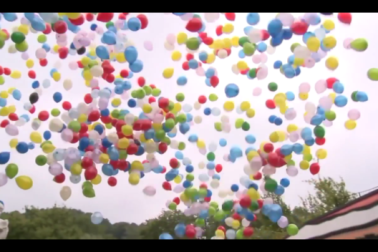 Youtube Video "Rare But Strong Together"